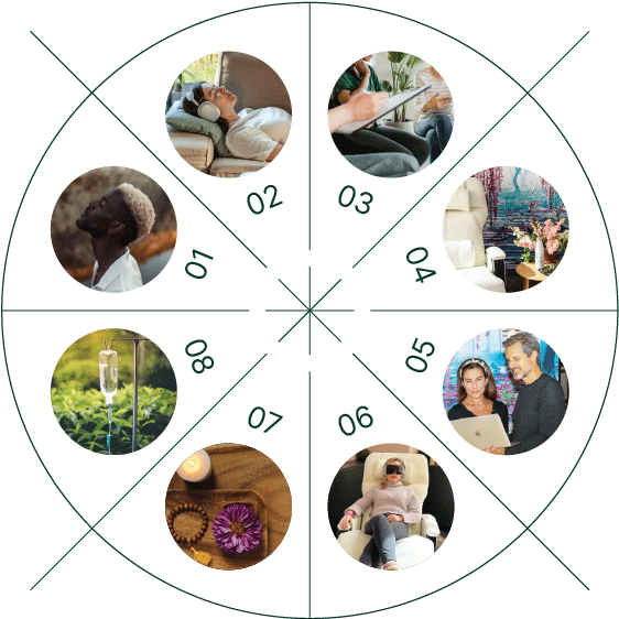 A pie split showing the 8 differences of Nushama